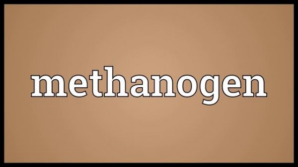 Methanogen Meaning