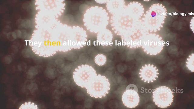 DNA :is A Genetic Material ,Hershey Chase Experiment  #DNA #viralvideo #science