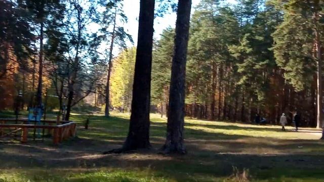 Поиск белок )) 71021 смотреть онлайн