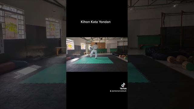 #karate #shorinryu #okinawa смотреть онлайн