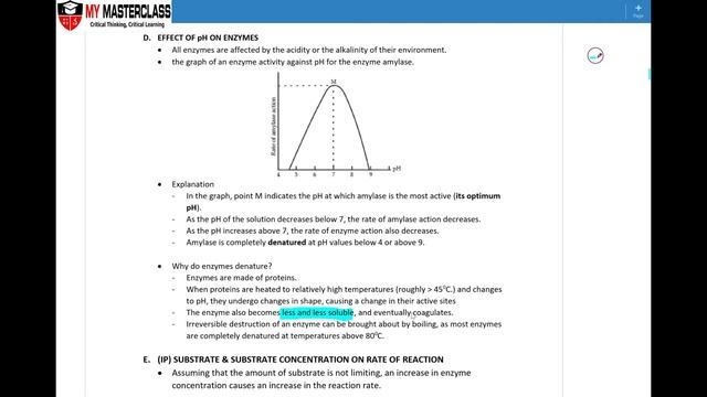 Lower Sec IP Bio: Enzymes - Effect of pH on Enzymes смотреть онлайн