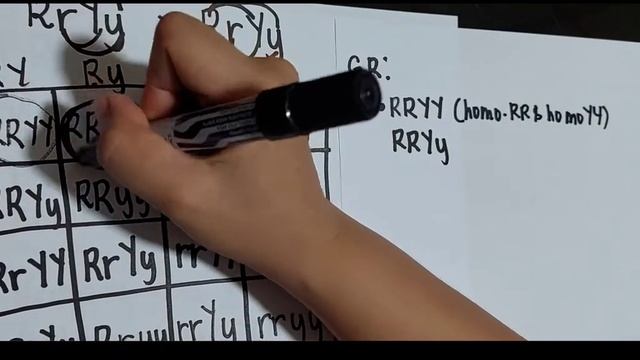 DIHYBRID CROSSING