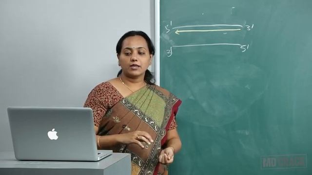 Molecular Biology DNA Replication Part 02 смотреть онлайн