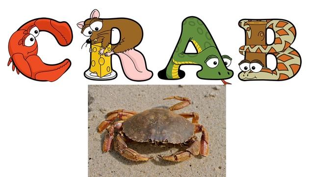 Learn to Read with alphabetimals for kids | Digraphs phonics blends | Letter sound | fonetica ingle смотреть онлайн