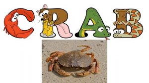 Learn to Read with alphabetimals for kids | Digraphs phonics blends | Letter sound | fonetica ingle