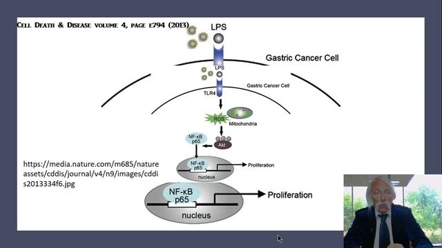 Antimicrobial Product Associations with Human Disease смотреть онлайн