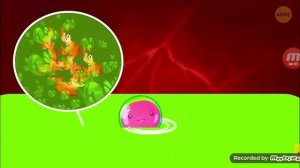 Путешествие по организму человека