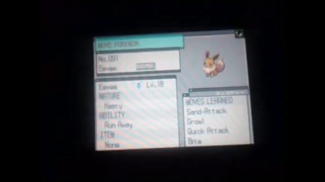 Let's Play Pokemon Black Version 2! Part 11 -Ran over a Audino with my painted shoes!- смотреть онлайн