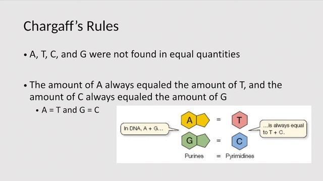 DNA Replication смотреть онлайн