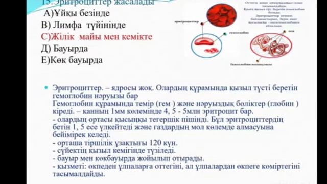Биология пәнінің мұғалімі А Ахметжанованың тест талдауы смотреть онлайн