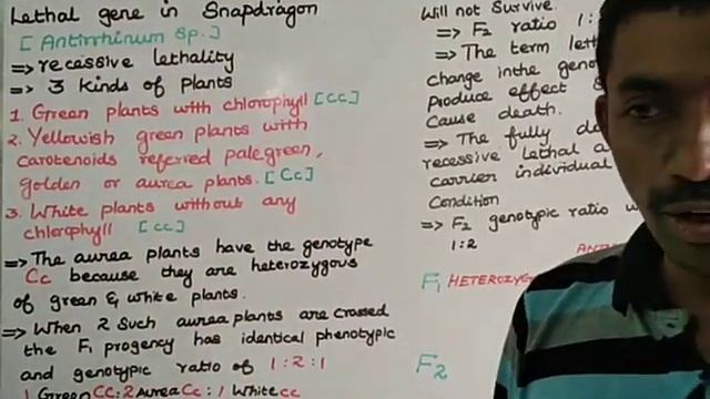 Lethal gene +2(5marks) смотреть онлайн