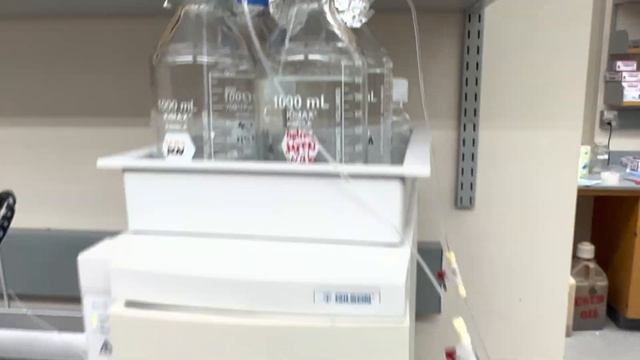 HPLC & LCMS-Total basic training and application -Agilent LCMS and GILSON Semi preparative HPLC смотреть онлайн