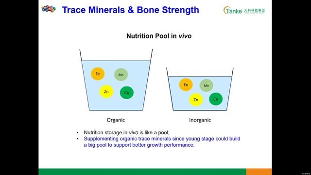 How to improve poultry bone strength with organic minerals смотреть онлайн