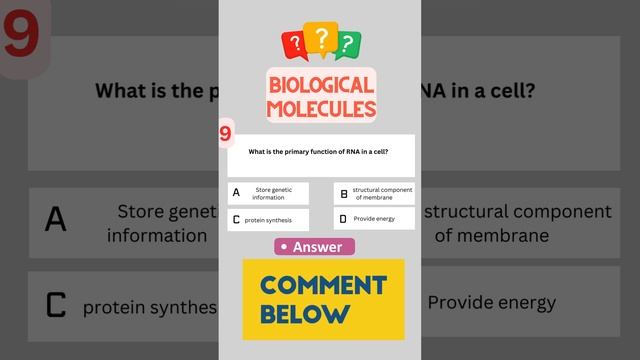Biomolecules Quiz 9 смотреть онлайн