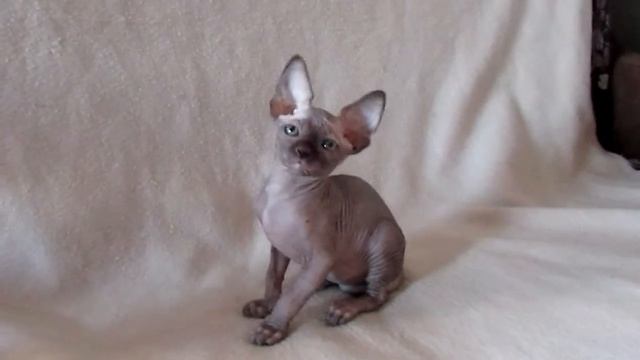 Уран 2 смотреть онлайн