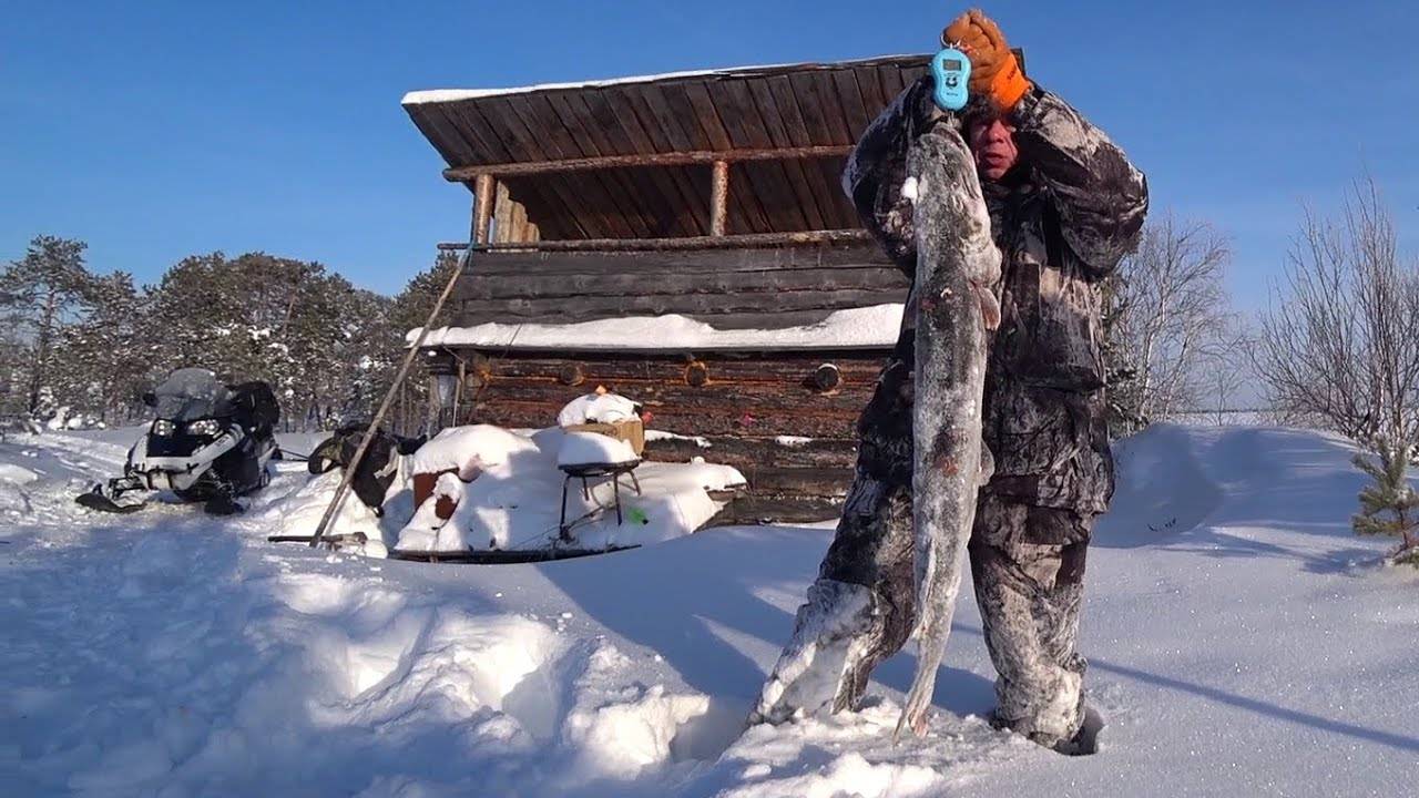 Вдвоем в тайге на огромном озере! Трофеи на жерлицы. смотреть онлайн
