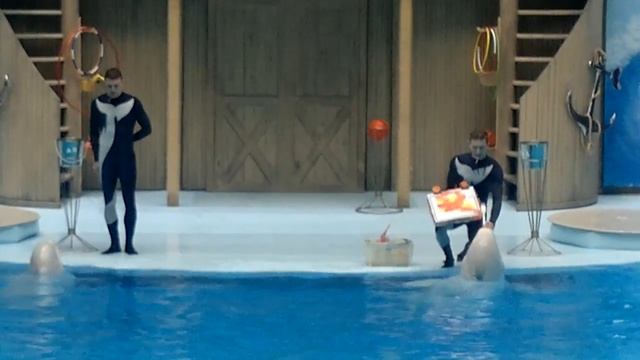 25052017486 смотреть онлайн