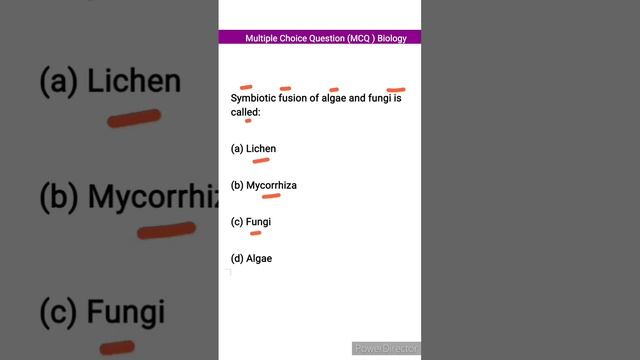 Symbiotic Fusion Of Algae And Fungi Is Called