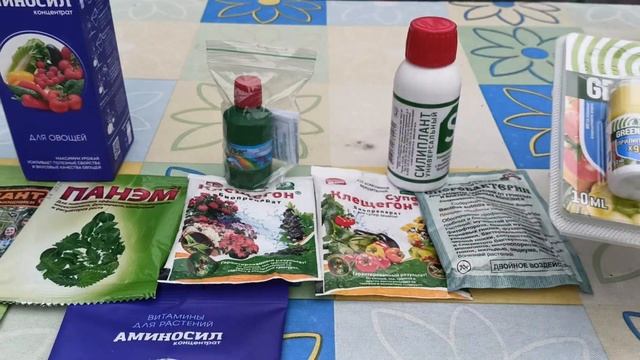 Защитить клубнику от гнилей и болезней очень просто. г.Каменск-Уральский 27.06.2024 г.