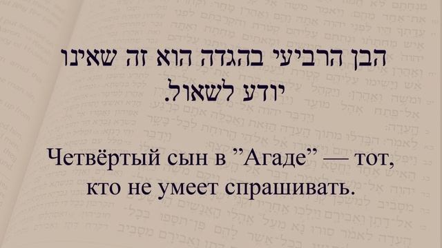 Глаголы 61 - 65. Спряжение глаголов в предложениях. Изучение иврита. смотреть онлайн
