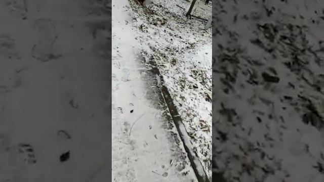 кислород ростов смотреть онлайн