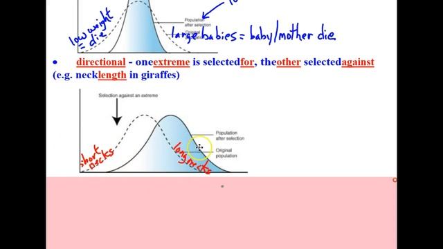 Types of Natural Selection смотреть онлайн