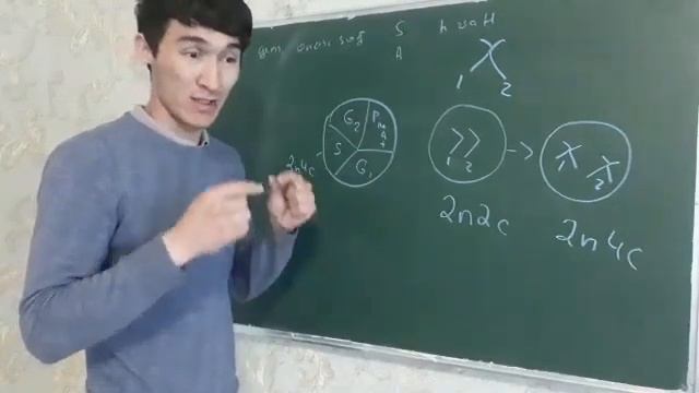 MITOZ VA MEYOZ MASALA | BIOLOGIYA MASALA YECHIM