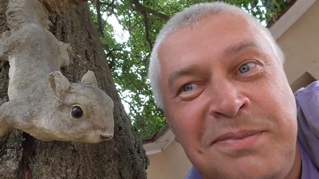 Генаддий Горин и белка на дереве смотреть онлайн