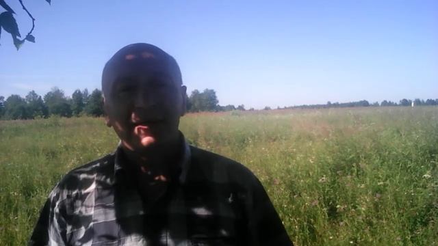 Волюшка ты волюшка ,синева да полюшко.(Стихи,слова Ю.Мотррина.).16.07.2020г. смотреть онлайн