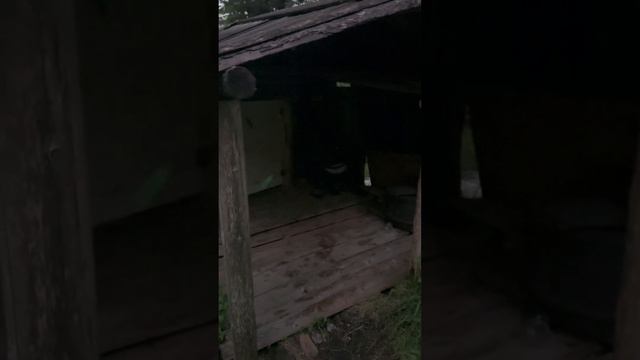 Оба на свет #красноярск #dinking #сварка #рыбалка #ремонт #сибирь смотреть онлайн