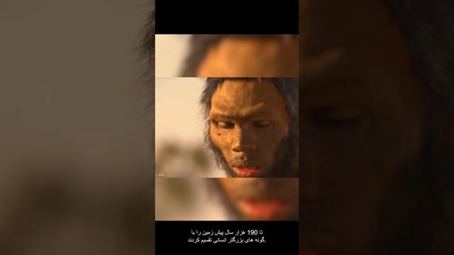 هابیت ها
