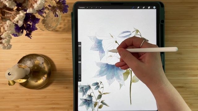 Рисуем акварелью в Procreate цветок колокольчика смотреть онлайн