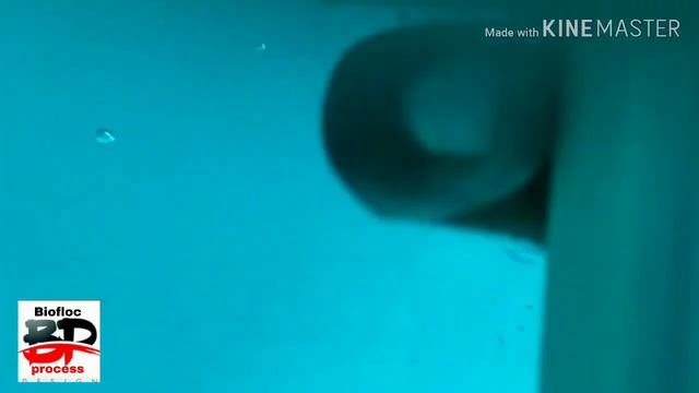 Raw salt kya he , kaha milta he , kitna raw salt dalna he biofloc process me || water prepration смотреть онлайн