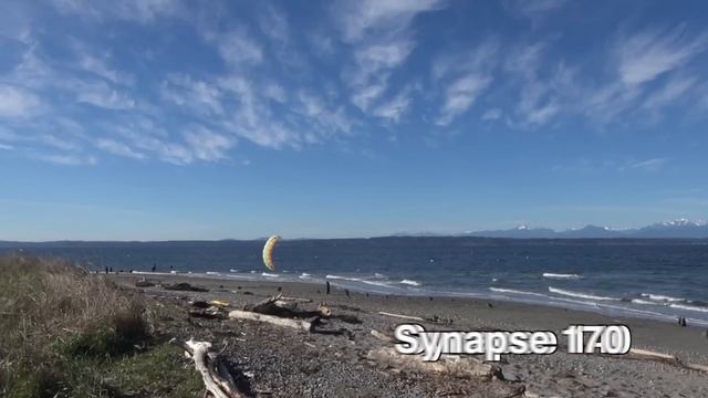 Dual Line Foil - Synapse Series