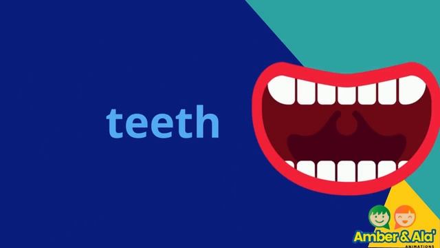 Irregular Plural Nouns