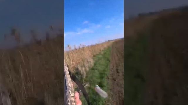 Вот это СЕЛЕЗЕНЬ! Охота на утку! смотреть онлайн