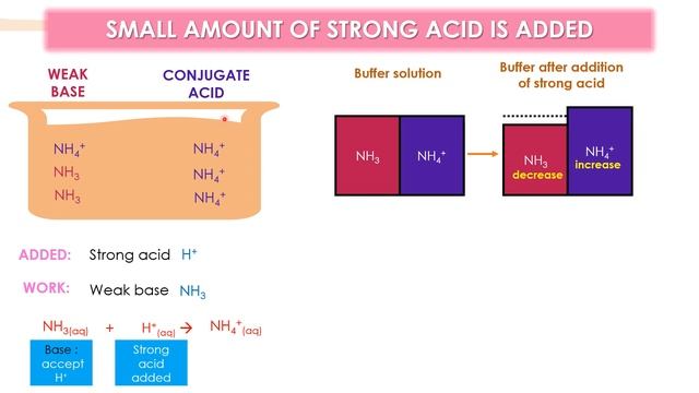 HOW BASIC BUFFER SOLUTION MAINTAIN ITS pH смотреть онлайн