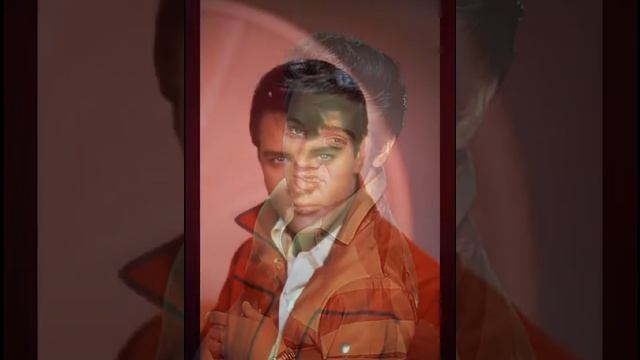 "Can't help falling in love" ~ E. Presley/ В. Кожанчиков смотреть онлайн