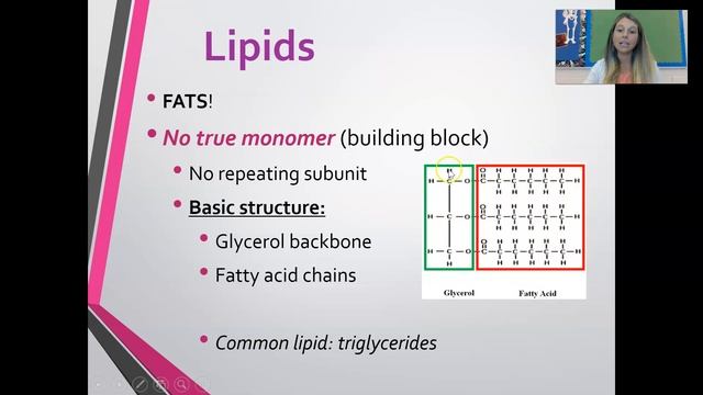 Macromolecules - Structure and Function смотреть онлайн