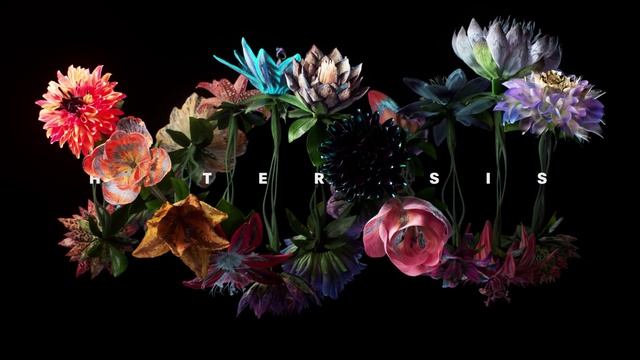 Даня Криворучко. Spiral_hor_HD.