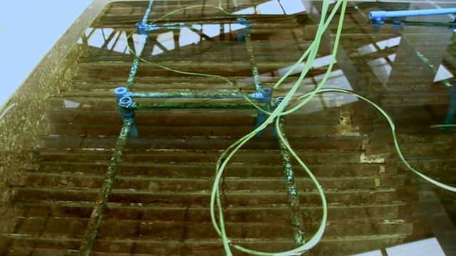 Using Indigenous Materials for Mass Production & Community Farming of Abalone смотреть онлайн