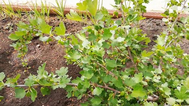 VID_20190508_122625.mp4 смотреть онлайн