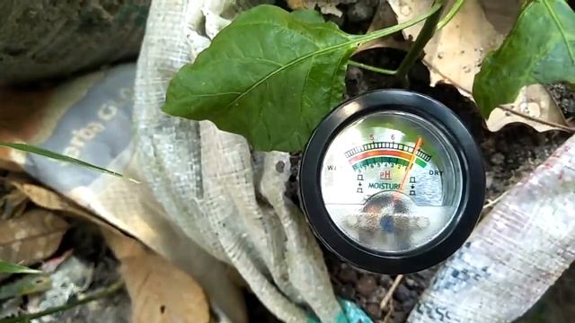 buka paket ph meter murah bagus 150ribuan model vt 05 смотреть онлайн