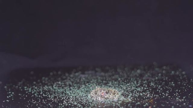 🔥 HOT 5 chemical reactions from subscribers смотреть онлайн