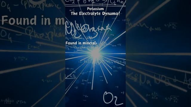 Potassium: The Electrolyte Dynamo! смотреть онлайн