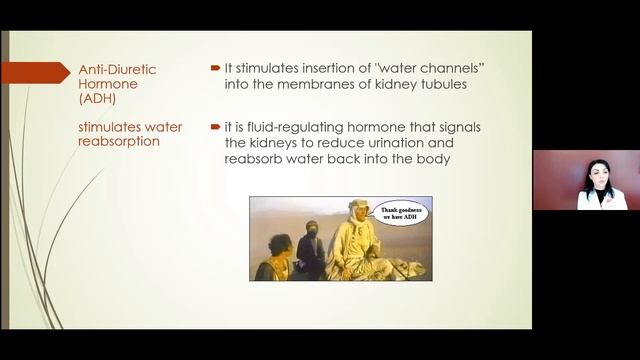 The Rule of 'W's for Wellness and Hypertension Management смотреть онлайн