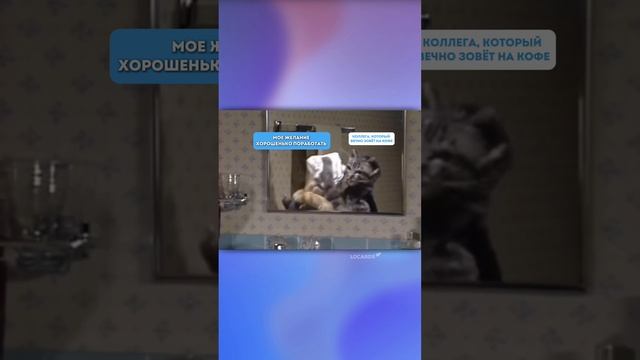 LOCARDS 🚀 смотреть онлайн