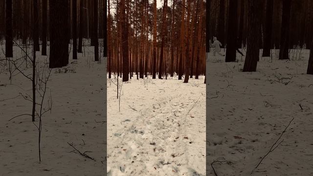 Что тут происходит ?