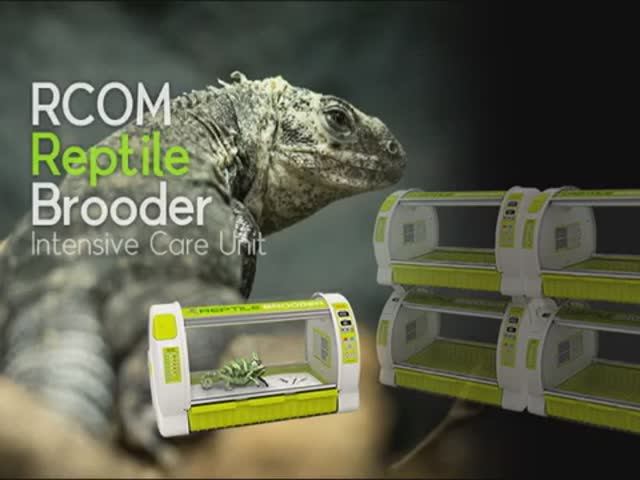 Брудер Rcom Reptile Brooder 60 для рептилий, нуждающихся в лечении