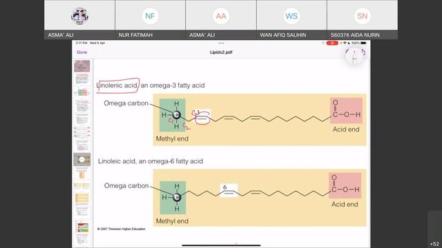 STM3201: Lipid Part I смотреть онлайн